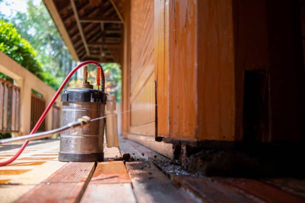 Best Affordable Pest Control Services  in Pittsburgh, PA