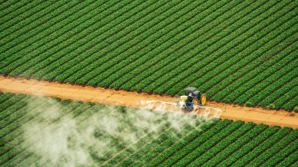 Best Commercial Pest Control Services  in Pittsburgh, PA